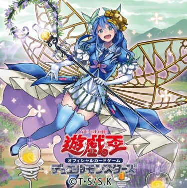 アロマのサボテンが許される理由とは？